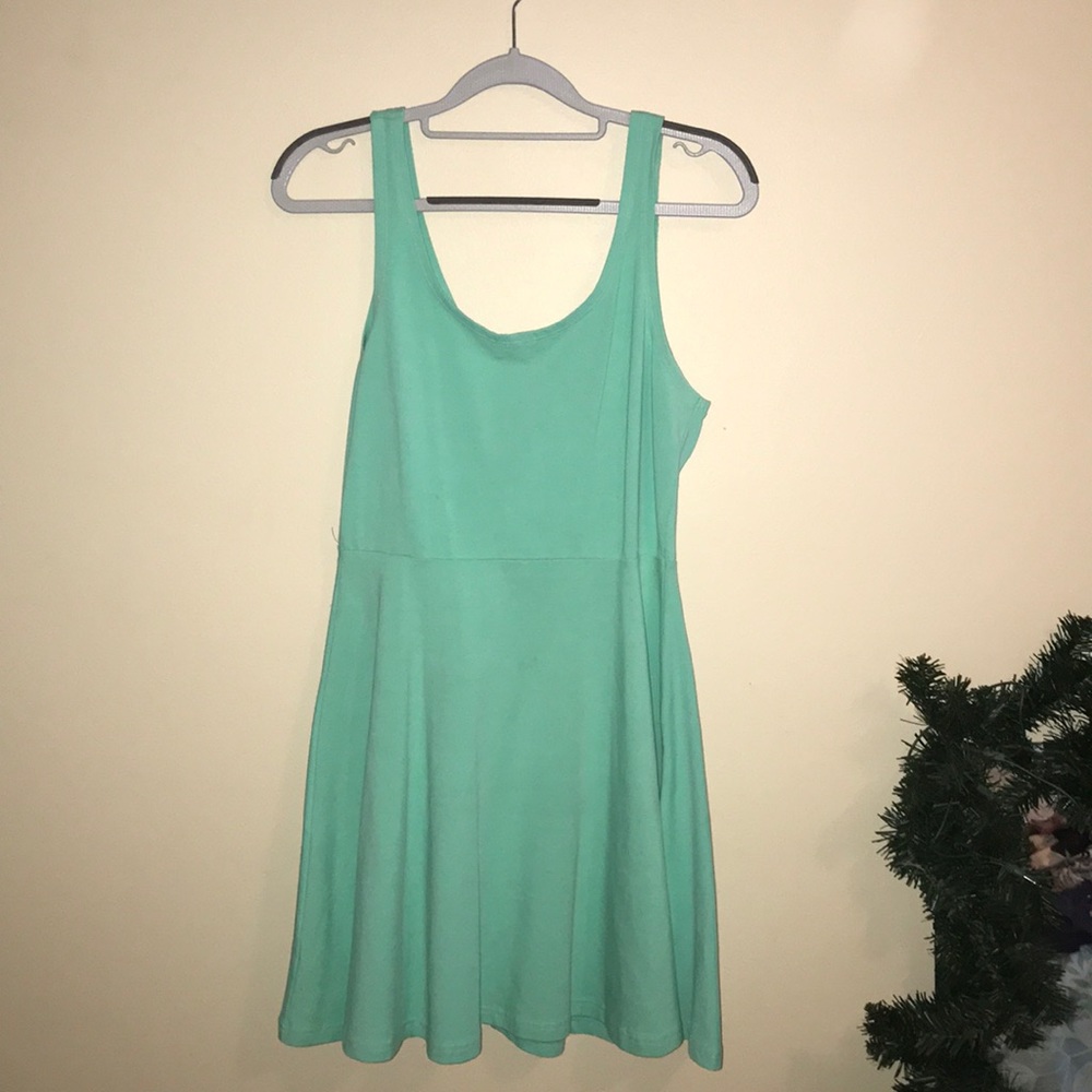 Express fit and flare dress
